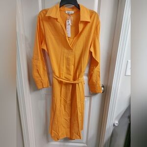 Vici Orange Shirt Dress
